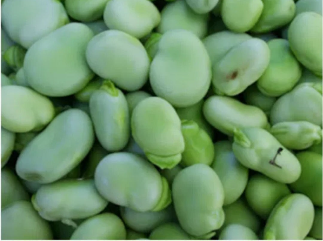 Favas 400g Frijobel