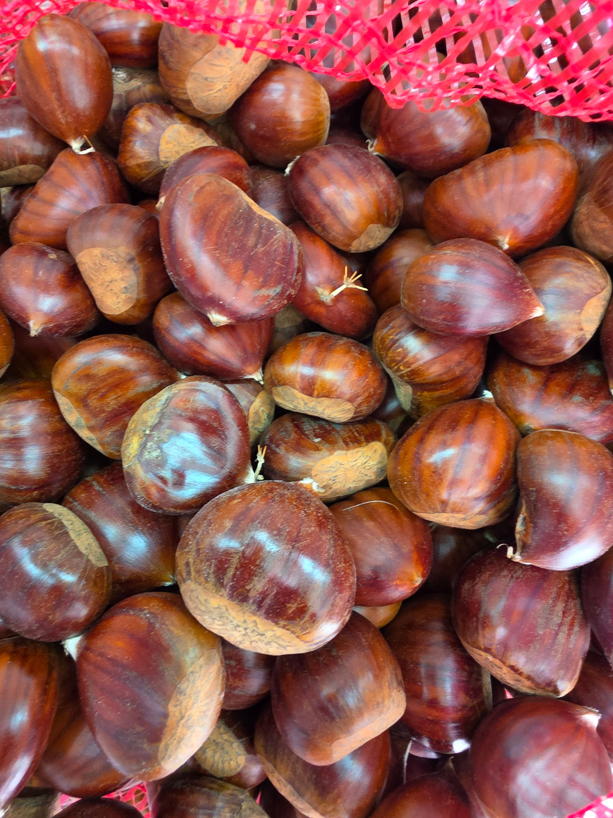 Castanhas / Chestnuts kg